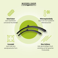 Wischerblätter für FORD Transit Connect | Bj. 02-13 | Basic Action | Set für Frontscheibe | Länge: 550/500mm